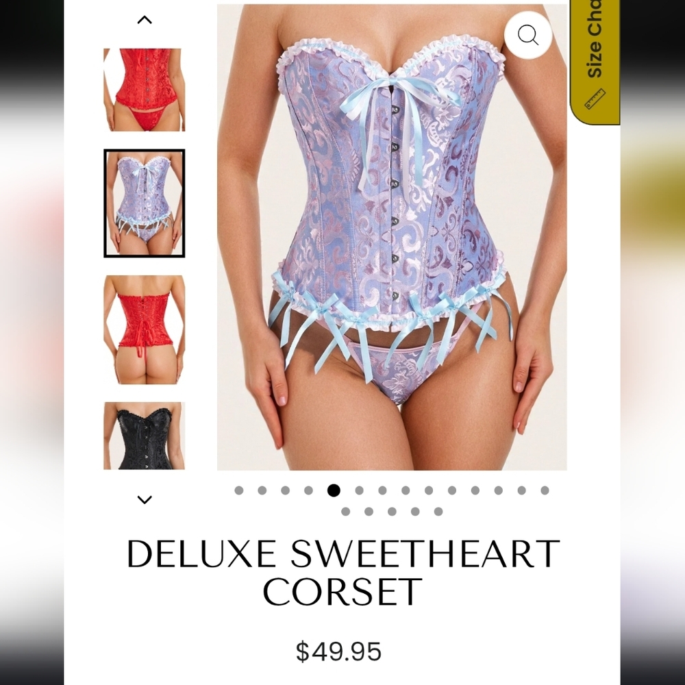 🚨 NIP Elegant Lace Lavender Corset Set